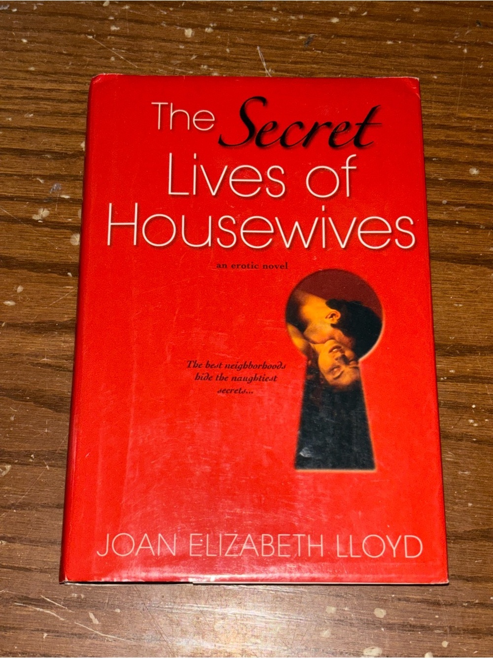 The Secret Lives of Housewives by Joan Elizabeth Lloyd